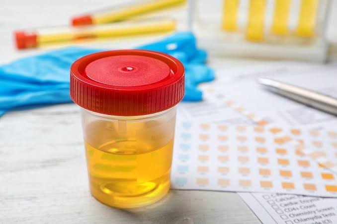 Équipement de laboratoire moderne